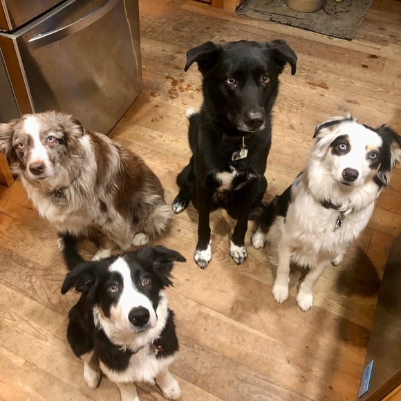 Meet your Posher, Cheryl - Picture 1 of 1